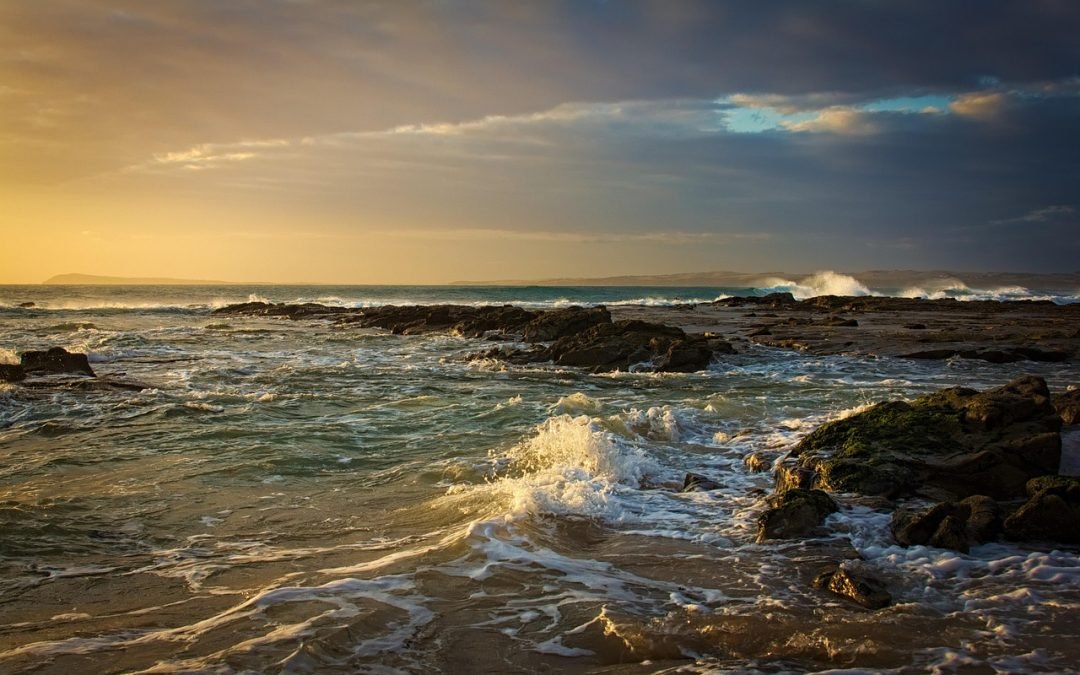 Cordelia Cruises Monsoon Specials: Scenic Ocean Views & Deals