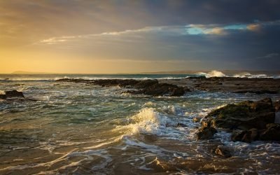 Cordelia Cruises Monsoon Specials: Scenic Ocean Views & Deals
