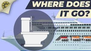 How Cruise Ships Manage Waste in Indian Waters