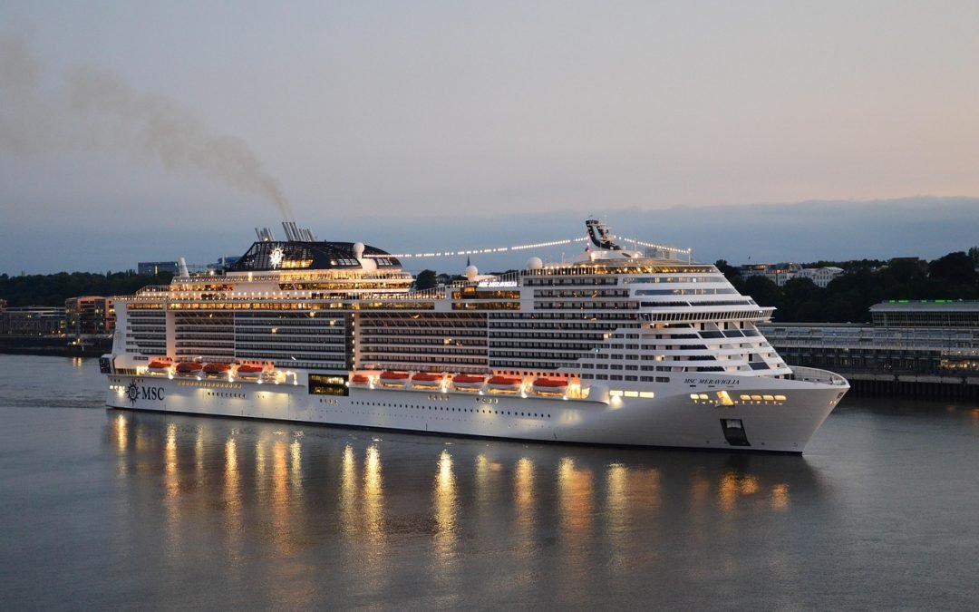 Best Time to Take a Cruise in India