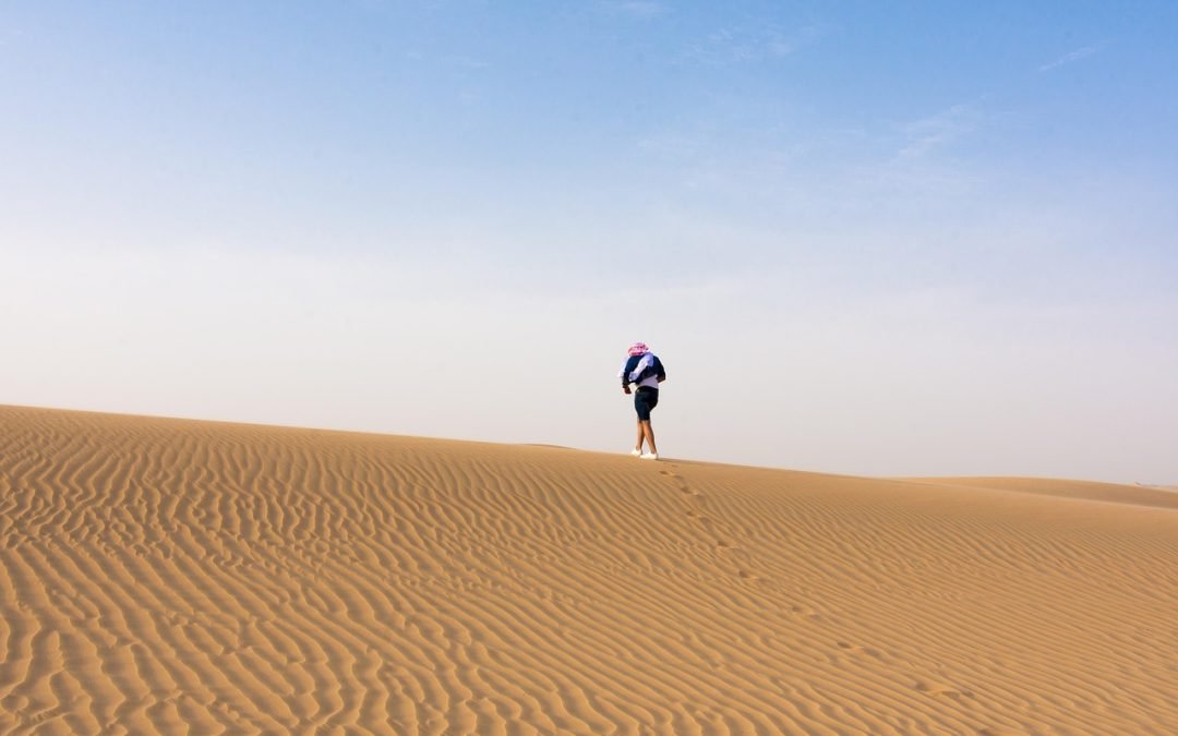 Abu Dhabi Shore Excursions: Top Things to Do for Cruisers
