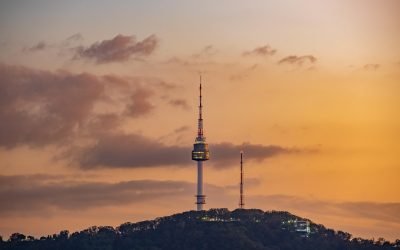 Japan Cruise vs Korea Cruise: Which One Is Better?
