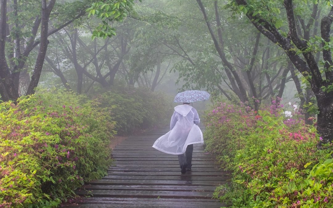 How to Pack for a Monsoon Cruise: Complete Checklist