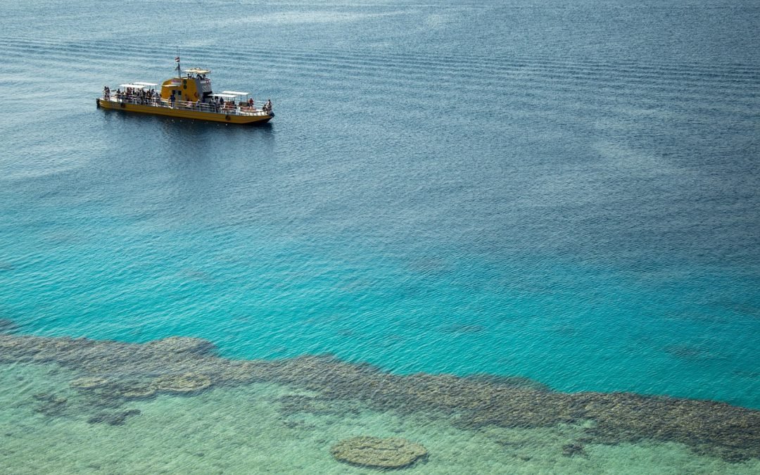 Dubai Cruise Excursions: Best Shore Tours & Experiences