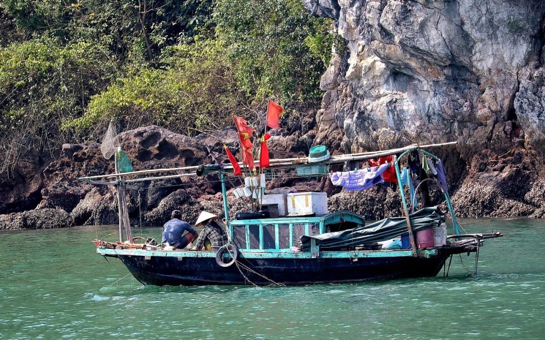 Halong Bay Cruise Experience: Vietnam’s Floating Paradise